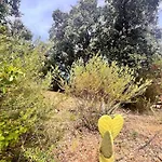 Linotte, 600m A Pied Santa Giulia Jacuzzi * Bocca del Oro