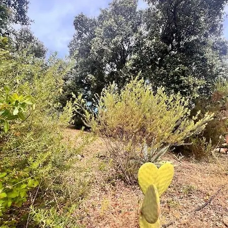 Linotte, 600m A Pied Santa Giulia Jacuzzi * Bocca del Oro